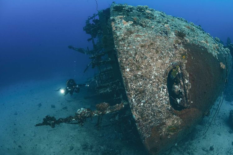 Petualangan Menyelam di Laut Merah Yaman: Surga Bawah Laut yang Tersembunyi